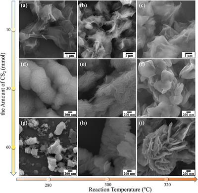 Colloidal Synthesis of NbS2 Nanosheets: From Large-Area <mark class="highlighted">Ultrathin Nanosheets</mark> to Hierarchical Structures